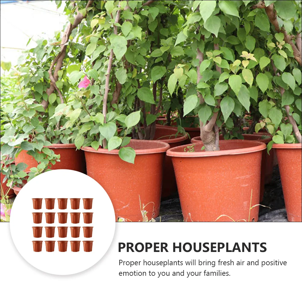 20pcs Plastic Flowerpot Round Durable Planting Pot For Home Garden Indoor Outdoor Decor Rose Cactus Aloe Herbs Planter
20pcs Plastic Flowerpot Round Durable Planting Pot For Home Garden Indoor Outdoor Decor Rose Cactus Aloe Herbs Planter