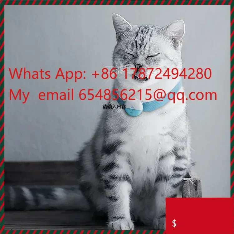 Мини-ошейник GPS-слежения EV-206M для маленьких домашних животных 4G GPS-трекер для собак и кошек
Мини-ошейник GPS-слежения EV-206M для маленьких домашних животных 4G GPS-трекер для собак и кошек