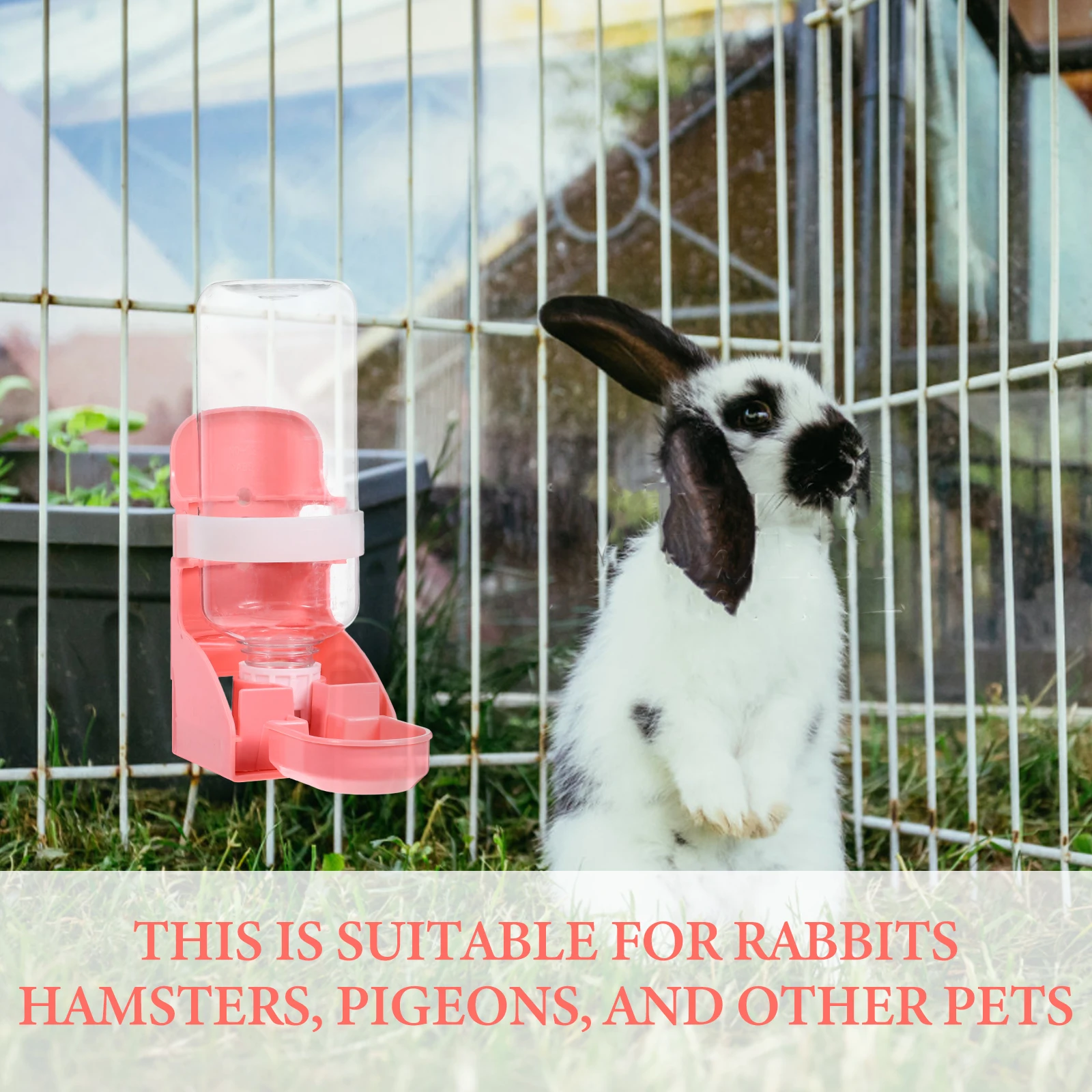 Portable Pet Bottle Rabbit Water Feeder For Hamster Hamster Creative Touch Dispenser for Cat Dog Travel Cage Feeder Plastic
Portable Pet Bottle Rabbit Water Feeder For Hamster Hamster Creative Touch Dispenser for Cat Dog Travel Cage Feeder Plastic