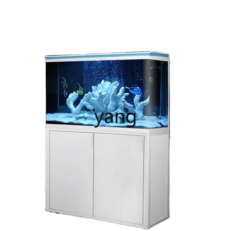 CX medium bottom filter goldfish tank household floor glass ecological large fish tank
CX medium bottom filter goldfish tank household floor glass ecological large fish tank