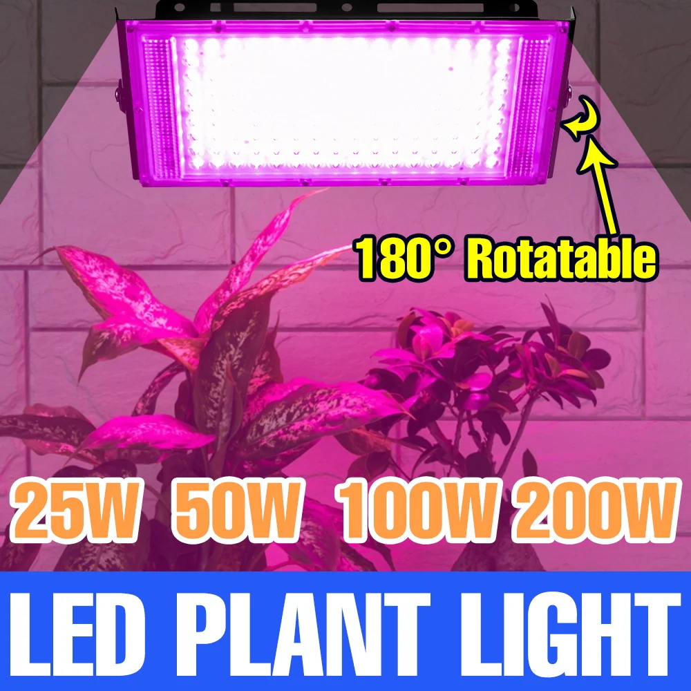 200W LED Full Spectrum Grow Light 220V Indoor Hydroponics Fill Light Greenhouse Tent Fruits Vegs Flowers Cultivation Lighting
200W LED Full Spectrum Grow Light 220V Indoor Hydroponics Fill Light Greenhouse Tent Fruits Vegs Flowers Cultivation Lighting