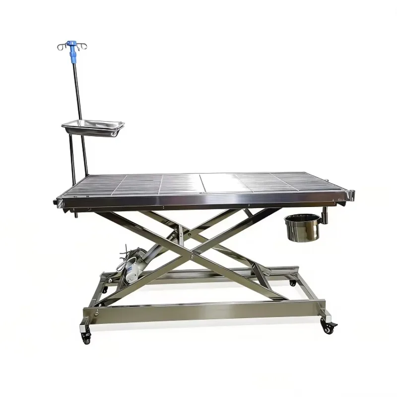 Professional Electric Vet Surgical Table 304 Stainless Steel Animal Table Adjustable Height for Vet Ortho Procedures
Professional Electric Vet Surgical Table 304 Stainless Steel Animal Table Adjustable Height for Vet Ortho Procedures
