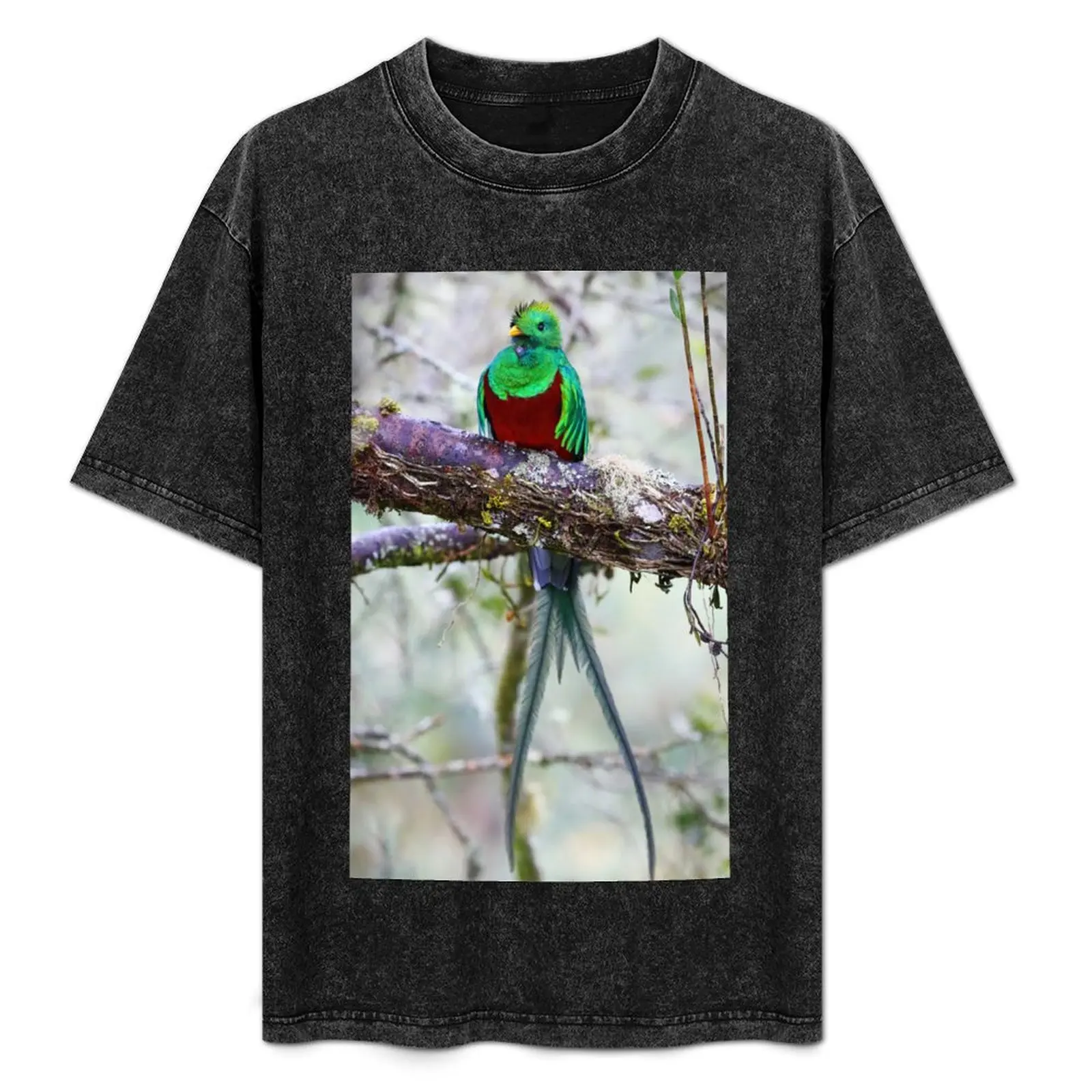 Resplendent Quetzal T-Shirt Street Art Print Tee Shirt
Resplendent Quetzal T-Shirt Street Art Print Tee Shirt