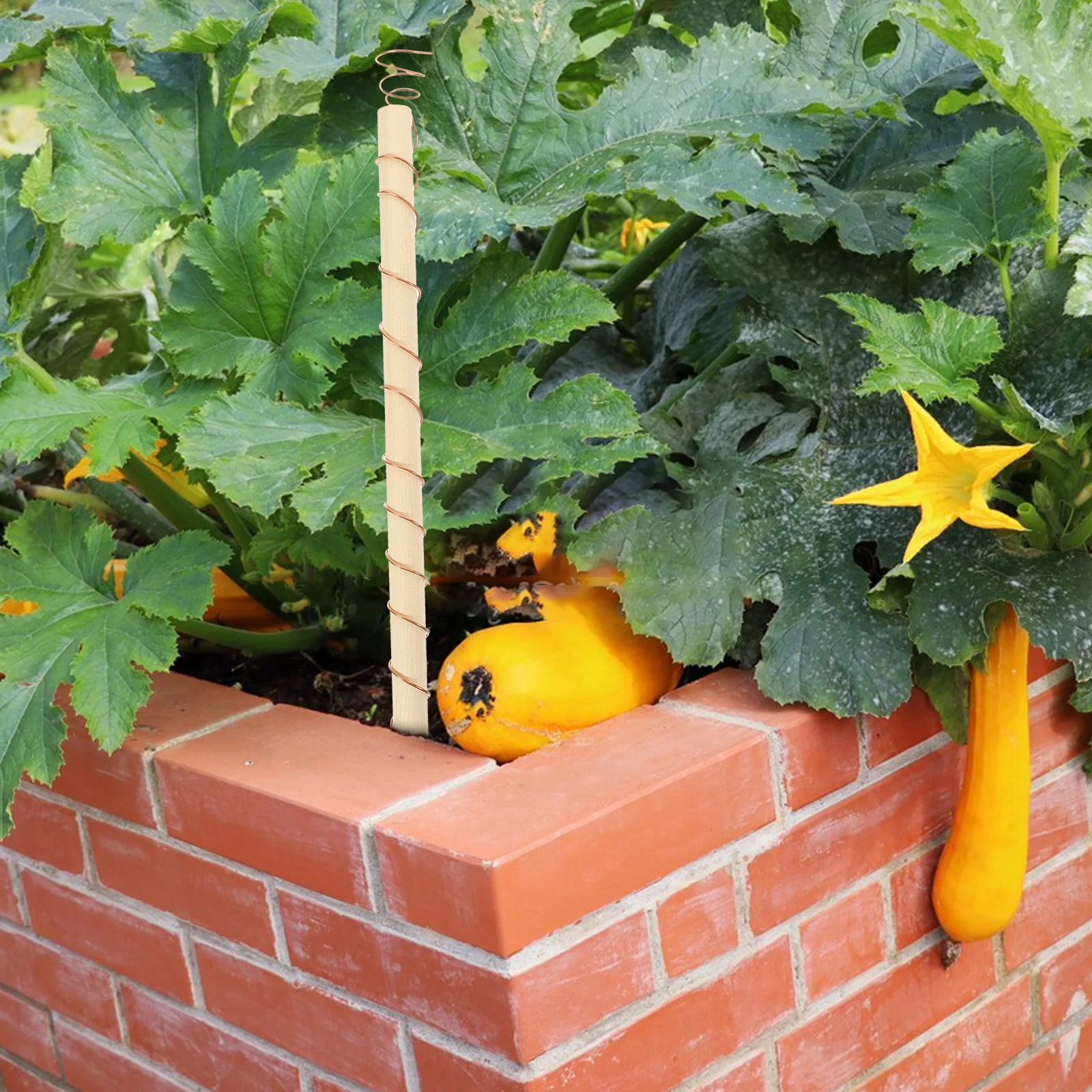 4Pcs Copper Coil Antenna Versatile Plant Stake for Garden Vegetable Growing Coil Electroculture Tool Growing Plant Stake
4Pcs Copper Coil Antenna Versatile Plant Stake for Garden Vegetable Growing Coil Electroculture Tool Growing Plant Stake