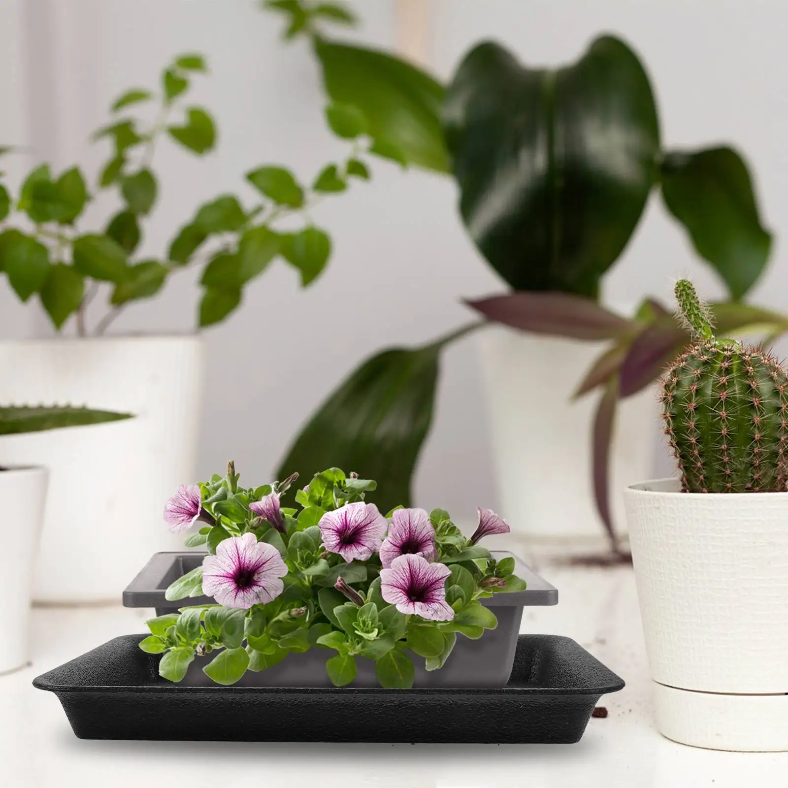 6 Pcs Flower Pot Tray Large Rectangular Saucers Plants Dishes Drip Soil Block Trays
6 Pcs Flower Pot Tray Large Rectangular Saucers Plants Dishes Drip Soil Block Trays