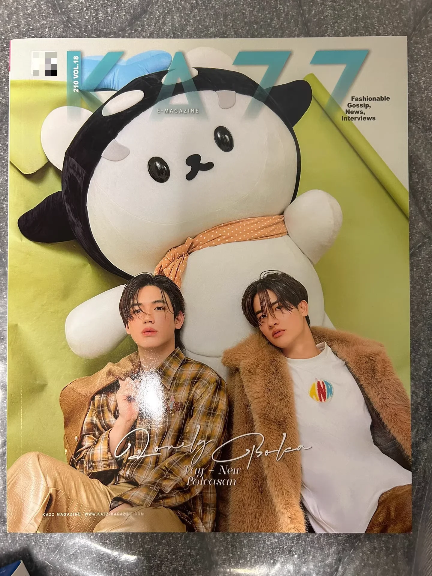 Официальный оригинал журнала TayNew Polcasan KAZZ В наличии
Официальный оригинал журнала TayNew Polcasan KAZZ В наличии