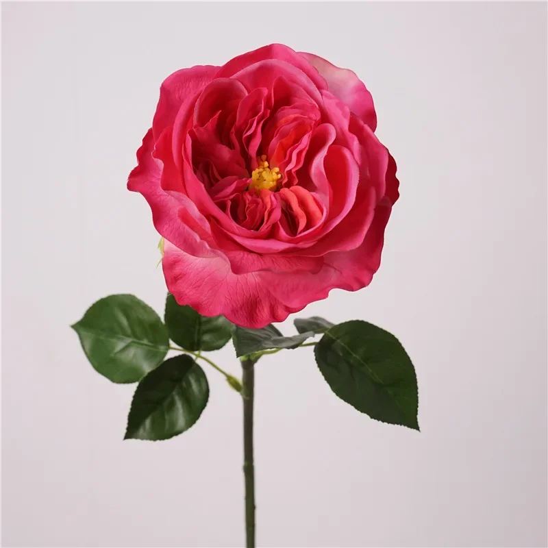 High Quality Simulation Juliet Rose Real Touch Fake Flower Wedding Decoration Artificial Austin Roses Branches Red Pink Flowers
High Quality Simulation Juliet Rose Real Touch Fake Flower Wedding Decoration Artificial Austin Roses Branches Red Pink Flowers