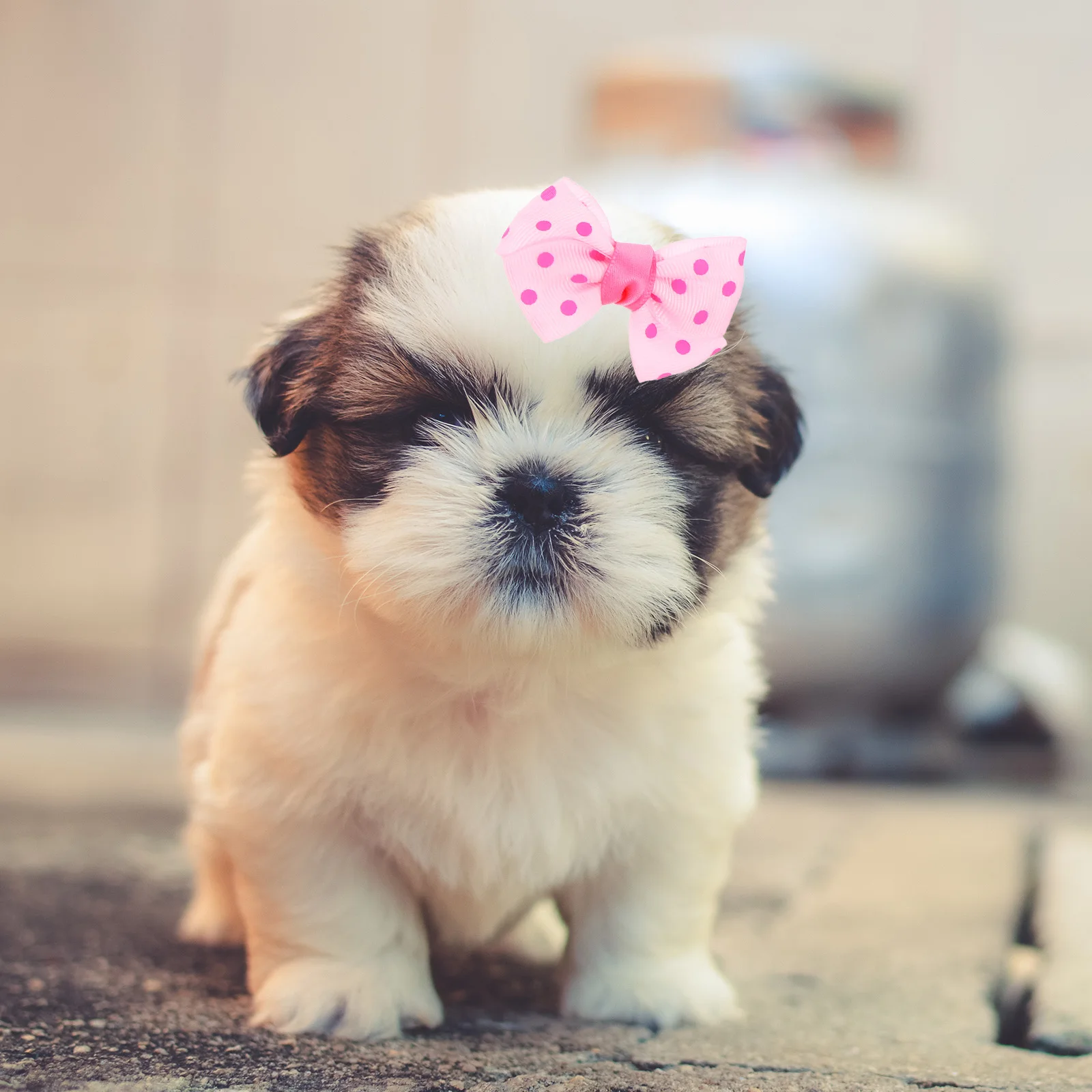 6pcs Pet Bow Hair Clips Bowknot Barrettes Bobby Pins Hairpin Supplies Daily Long Accessories Dog Puppy Stylish Fashion
6pcs Pet Bow Hair Clips Bowknot Barrettes Bobby Pins Hairpin Supplies Daily Long Accessories Dog Puppy Stylish Fashion
