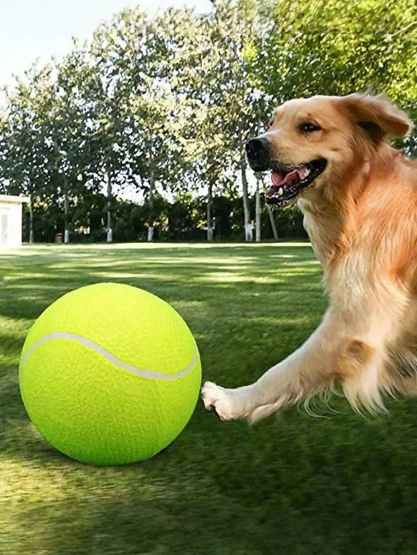 1pc 9.5-Inch Summer Durable Bouncy Dog Tennis Ball, Suitable For Training Small To Medium Dogs, Outdoor Sport Pet Toy To Encoura
1pc 9.5-Inch Summer Durable Bouncy Dog Tennis Ball, Suitable For Training Small To Medium Dogs, Outdoor Sport Pet Toy To Encoura