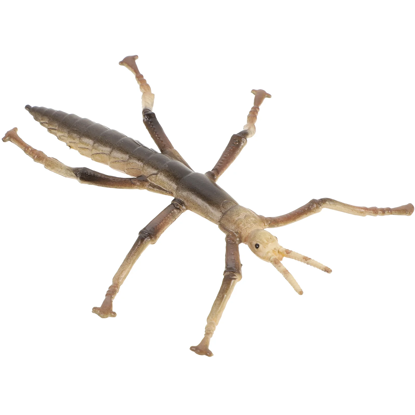 Stick Insect Model Plastic Bugs Ocean Animals Toys Realistic Learning and Insects for Kids
Stick Insect Model Plastic Bugs Ocean Animals Toys Realistic Learning and Insects for Kids
