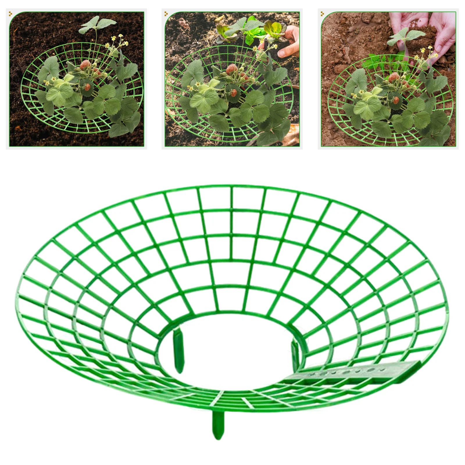 4 шт. опор для клубники, 12 дюймов, легкие, устойчивые к погодным условиям, для небольших пространств, для легкого сбора урожая, регулируемые
4 шт. опор для клубники, 12 дюймов, легкие, устойчивые к погодным условиям, для небольших пространств, для легкого сбора урожая, регулируемые