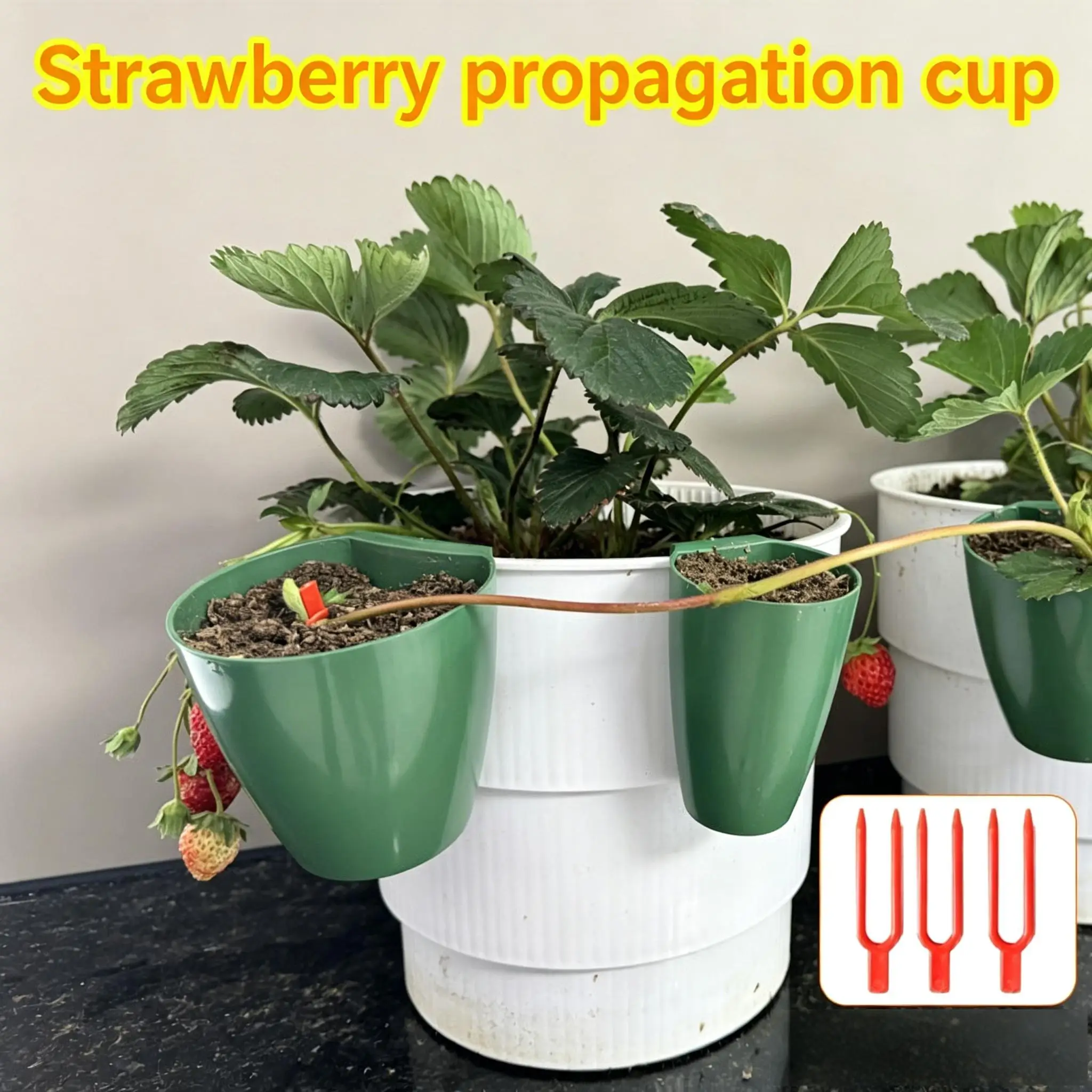 10pc Strawberry Rooting Cup Kit with 20 Forks Plant Propagation Hanging Transplant Grow Station for Garden Greenhouse Balcony
10pc Strawberry Rooting Cup Kit with 20 Forks Plant Propagation Hanging Transplant Grow Station for Garden Greenhouse Balcony