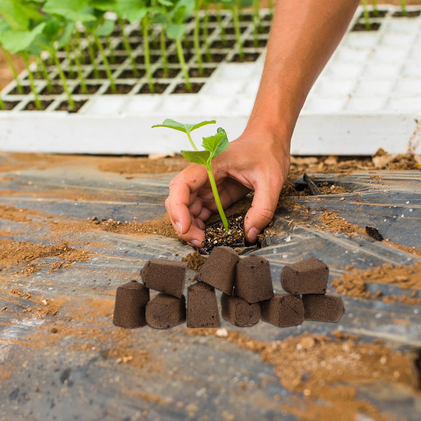 10pcs 30x30x40mm Seedling Blocks High Success Rate Soilless Cultivation Nutrient Rich Peat Garden Planting Seedlings Pot
10pcs 30x30x40mm Seedling Blocks High Success Rate Soilless Cultivation Nutrient Rich Peat Garden Planting Seedlings Pot