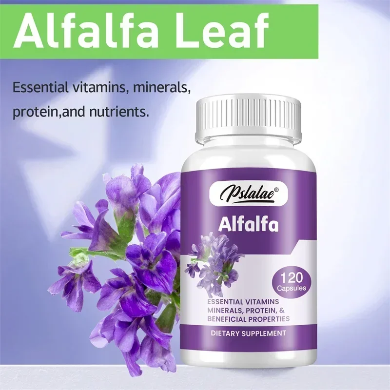 Alfalfa Capsules - Supports Urinary Tract and Liver Health, Promotes Blood Circulation, and Improves Digestive Issues Vegan
Alfalfa Capsules - Supports Urinary Tract and Liver Health, Promotes Blood Circulation, and Improves Digestive Issues Vegan