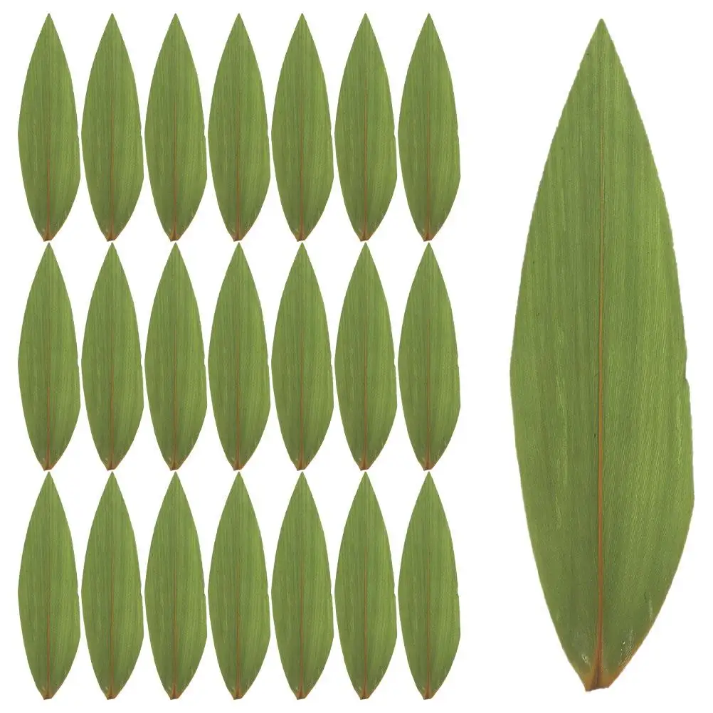 200pcs Bamboo Leaf Arrangement Sushi Food Separator Decorative Grass Plates Sashimi Plating Accessories Japanese Style
200pcs Bamboo Leaf Arrangement Sushi Food Separator Decorative Grass Plates Sashimi Plating Accessories Japanese Style