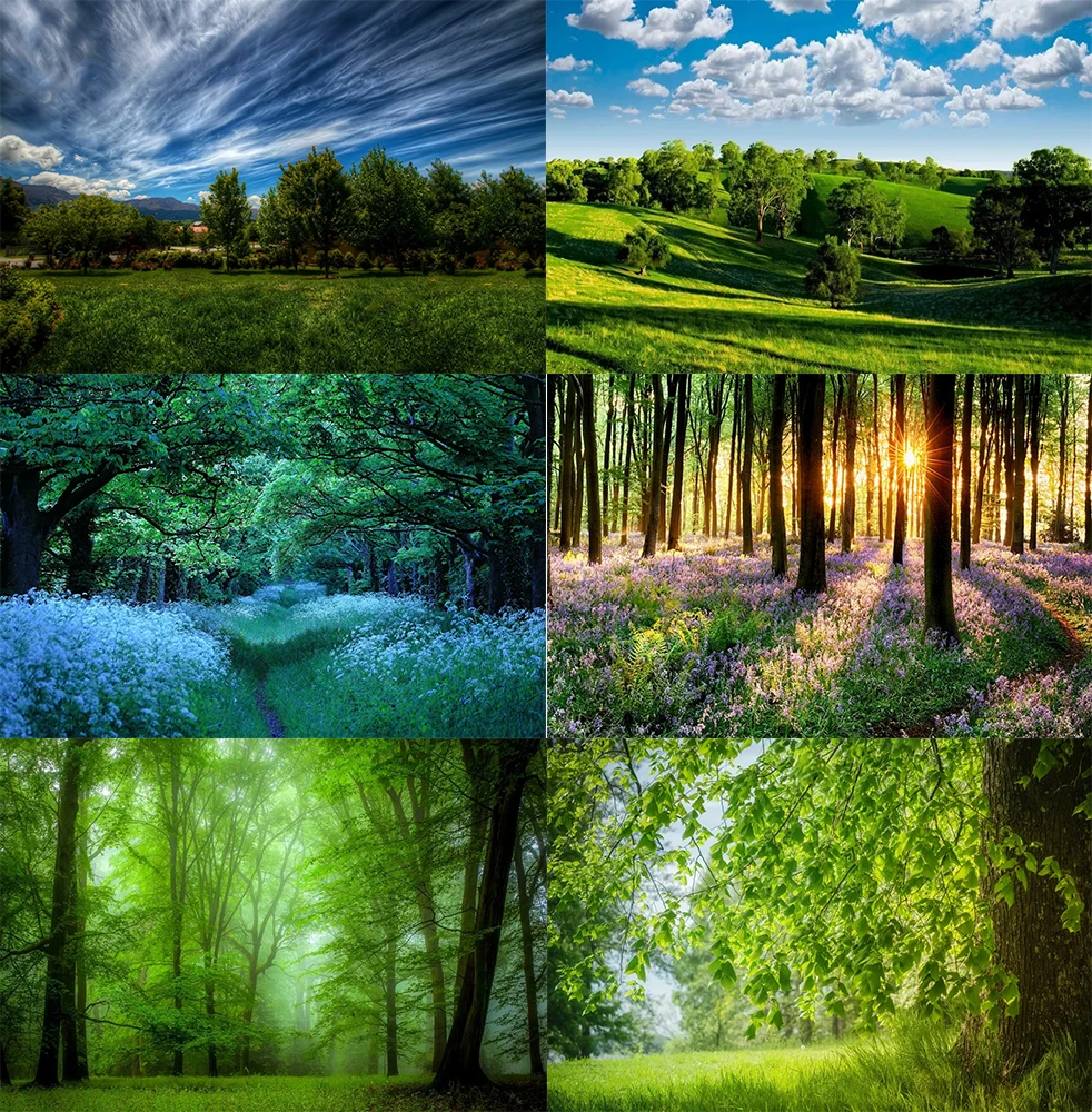 Nature Spring Green Forest Trees and Beautiful Flowers Landscape Party Festival Background Cloth Decoration Photography Props
Nature Spring Green Forest Trees and Beautiful Flowers Landscape Party Festival Background Cloth Decoration Photography Props