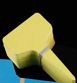 White 10/50/100Pcs Plastic Plant Classification Sorting Sign Tag Ticket Garden Labels Gardening Writing Plate Board Plug In Card
White 10/50/100Pcs Plastic Plant Classification Sorting Sign Tag Ticket Garden Labels Gardening Writing Plate Board Plug In Card