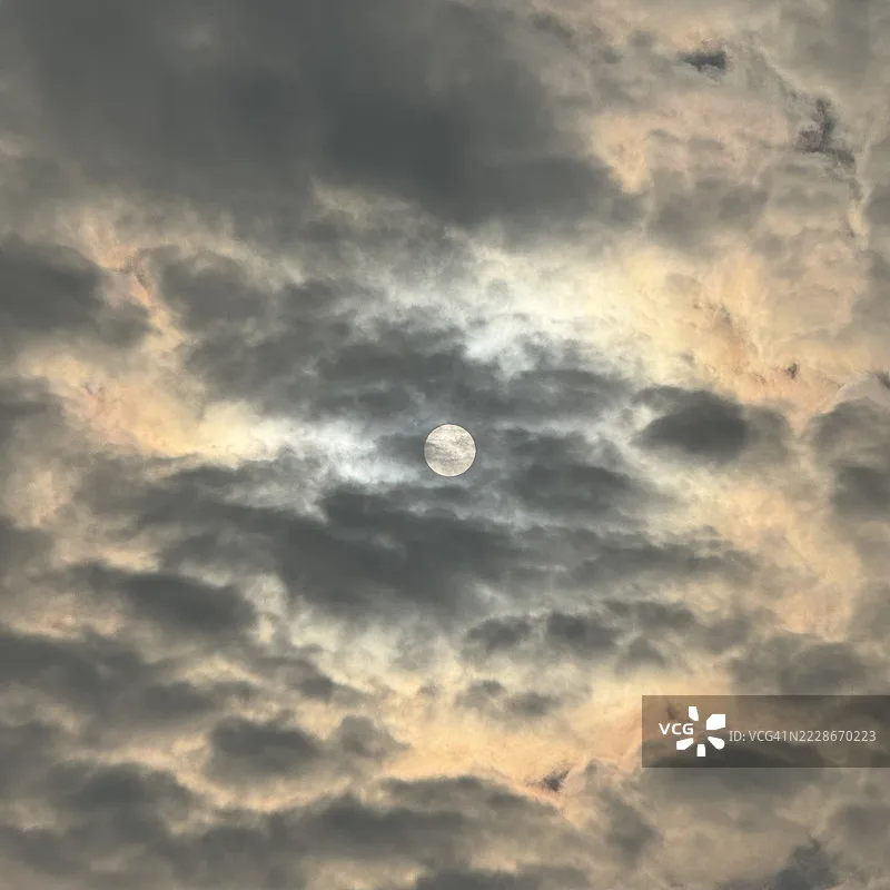 LD1299 LDRC 4x4 1/14with Light System RC Crawler Car 4WD TOUCAN Radio Control Finished Off-road Light System Vehicles Toys Gift 
LD1299 LDRC 4x4 1/14with Light System RC Crawler Car 4WD TOUCAN Radio Control Finished Off-road Light System Vehicles Toys Gift