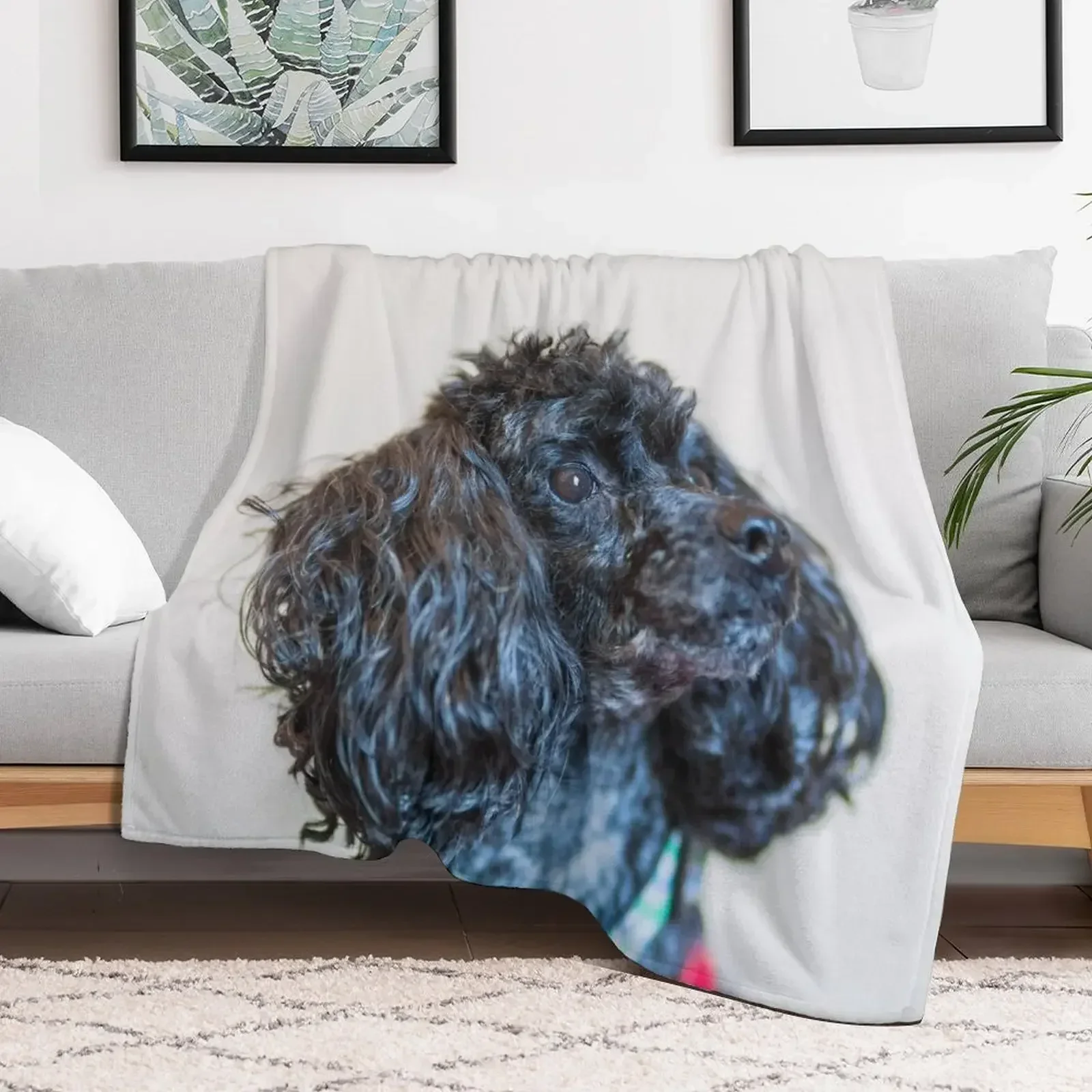 Classic poodle Throw Blanket warm winter Decorative Sofa halloween Stuffeds Blankets
Classic poodle Throw Blanket warm winter Decorative Sofa halloween Stuffeds Blankets