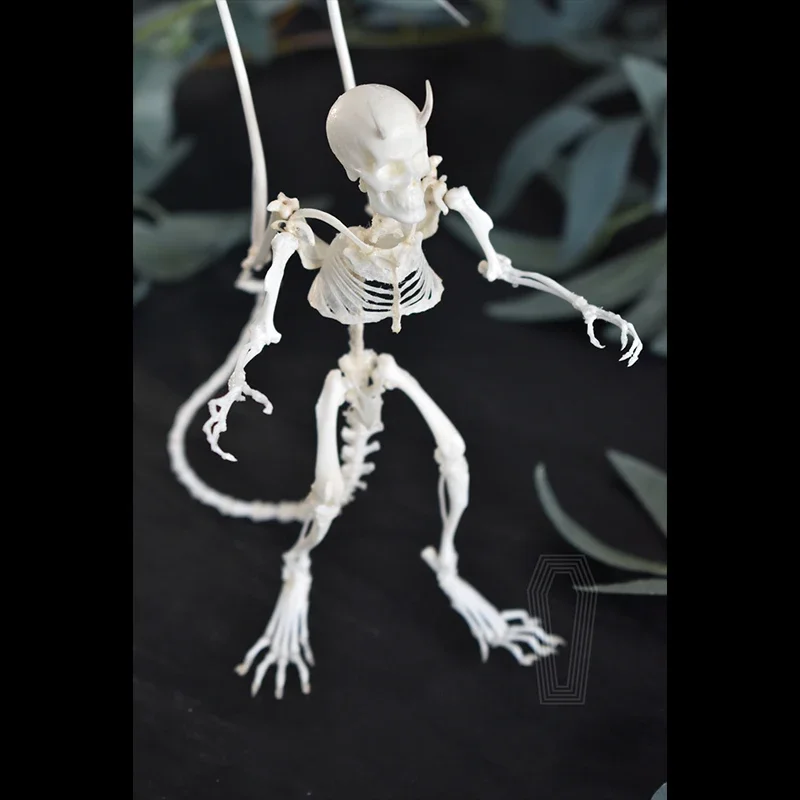 2129 Original Imp Skeleton Specimen Decorative Stand Collectibles Desktop Ornament Featured Birthday Gift Halloween Decoration
2129 Original Imp Skeleton Specimen Decorative Stand Collectibles Desktop Ornament Featured Birthday Gift Halloween Decoration
