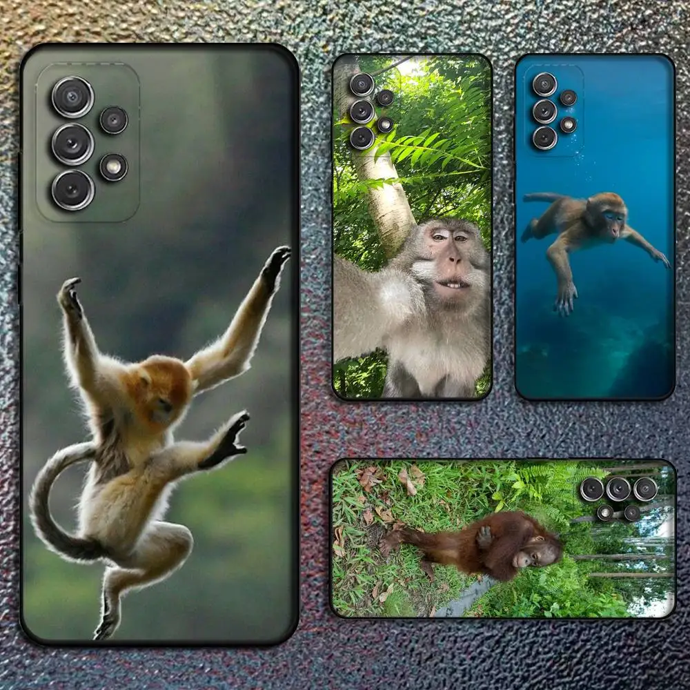 Funny Cute Monkey meme Phone Case For Samsung S 9,10,21,30,22,23,24,25,Ultra,Plus,Lite,FE,4,5G Black Soft Case
Funny Cute Monkey meme Phone Case For Samsung S 9,10,21,30,22,23,24,25,Ultra,Plus,Lite,FE,4,5G Black Soft Case