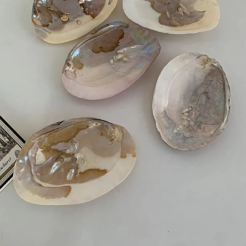 Cutelife Nordic Ins Pearl Shell Table Tray Trinket Perfume Cosmetic Decorative Tray Wedding Makeup Bathroom Jewelry Storage Tray
Cutelife Nordic Ins Pearl Shell Table Tray Trinket Perfume Cosmetic Decorative Tray Wedding Makeup Bathroom Jewelry Storage Tray