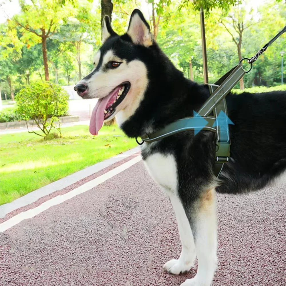 Nylon Pet Walking Harness Vest with Reflective Strips Wear-resistant Walking Dog Leash Vest Adjustable Explosion-proof
Nylon Pet Walking Harness Vest with Reflective Strips Wear-resistant Walking Dog Leash Vest Adjustable Explosion-proof