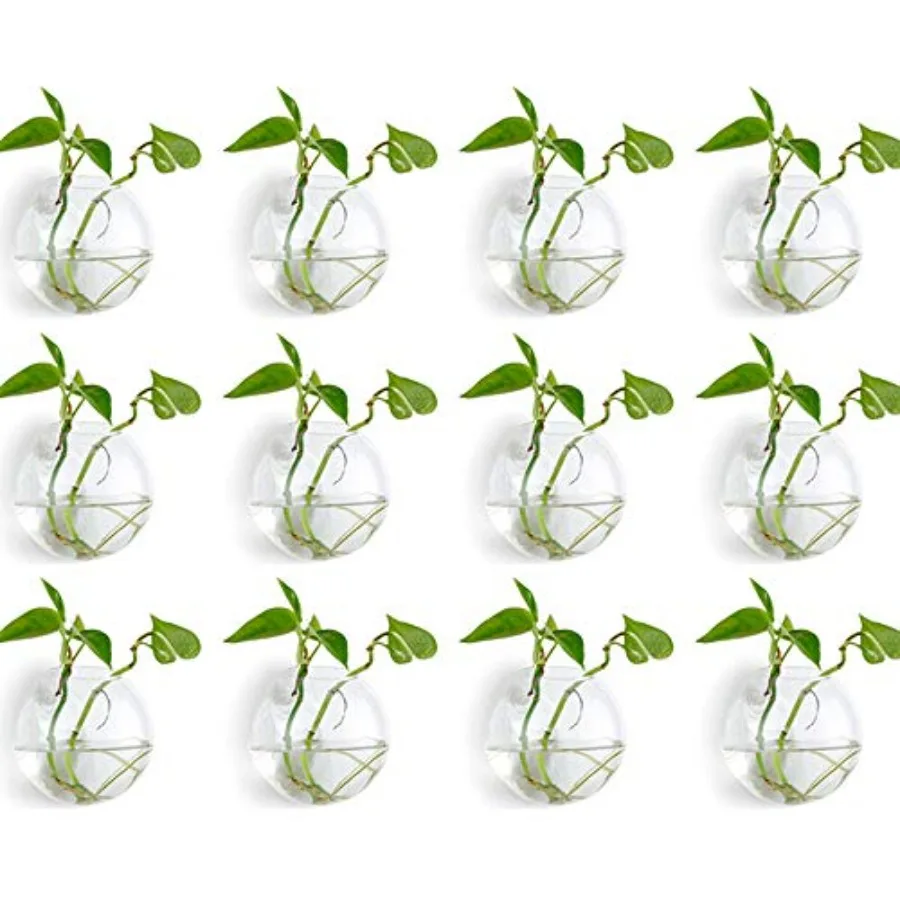 Wall Hanging Planters Terrarium: Clear Glass Wall-Mounted Vases for Indoor Office Garden Living Room - Oblate Plant Pots Hydrop
Wall Hanging Planters Terrarium: Clear Glass Wall-Mounted Vases for Indoor Office Garden Living Room - Oblate Plant Pots Hydrop