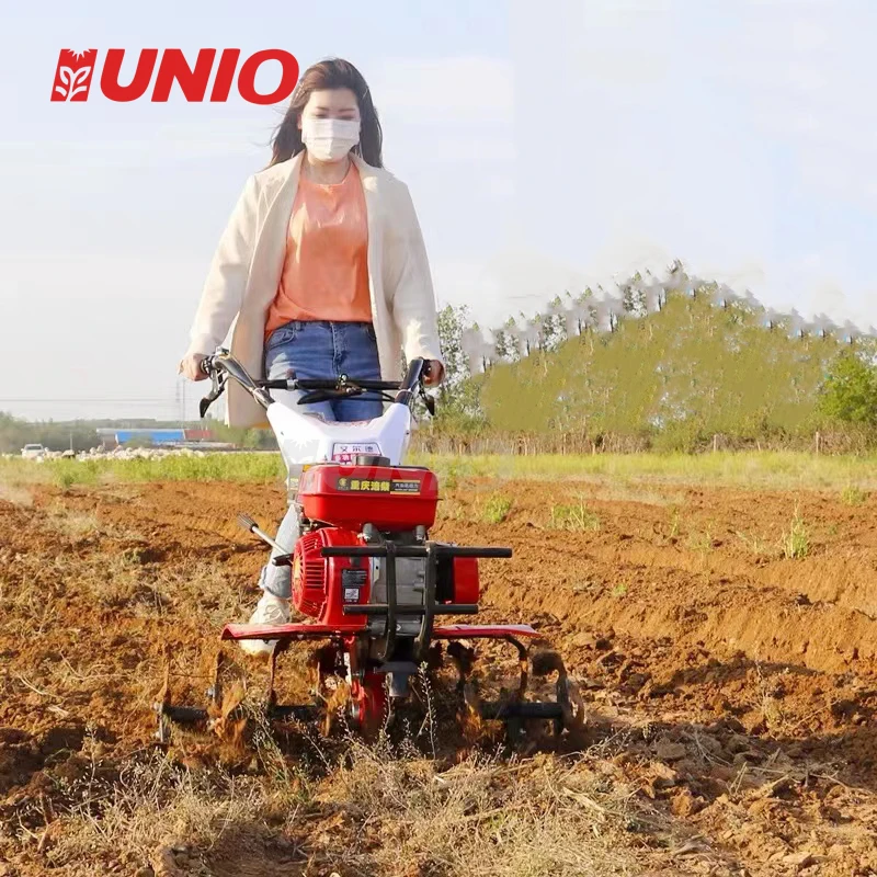 New Multi-function Weeder Micro-tiller Cultivator Small Rotary Tiller Agricultural Scarifier
New Multi-function Weeder Micro-tiller Cultivator Small Rotary Tiller Agricultural Scarifier