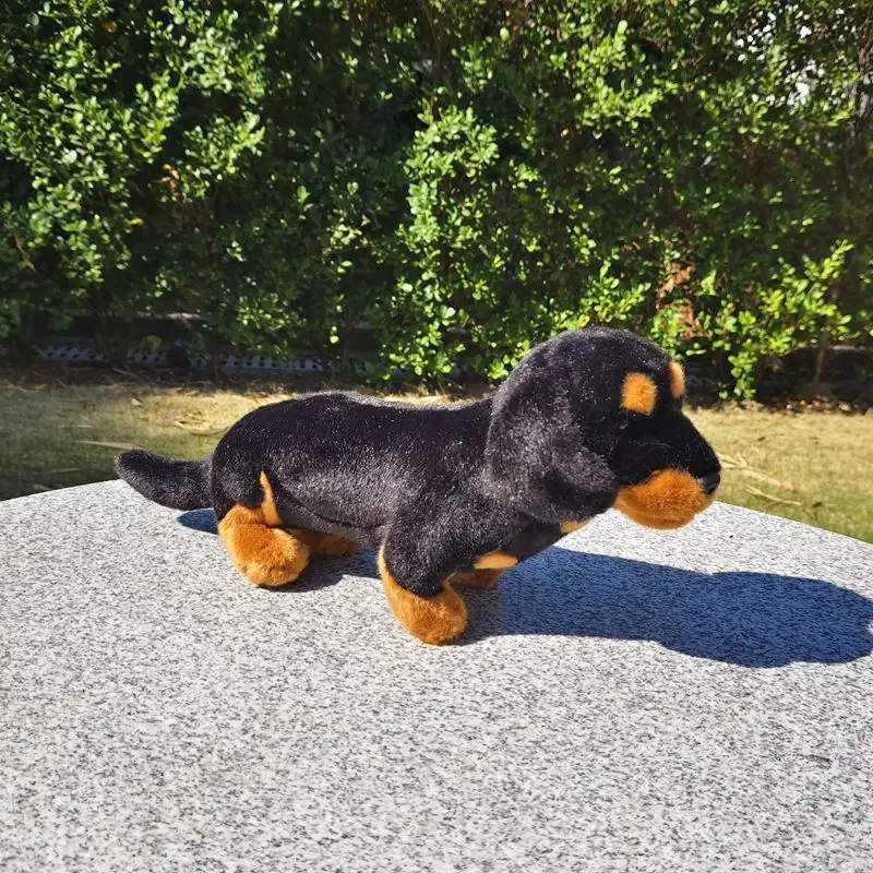 Super Cute Shorty Pony Doll Cute Dachshund Dog Doll Plush Toy Lifelike Animals Simulation Stuffed Doll Kawaii Toy Gifts
Super Cute Shorty Pony Doll Cute Dachshund Dog Doll Plush Toy Lifelike Animals Simulation Stuffed Doll Kawaii Toy Gifts