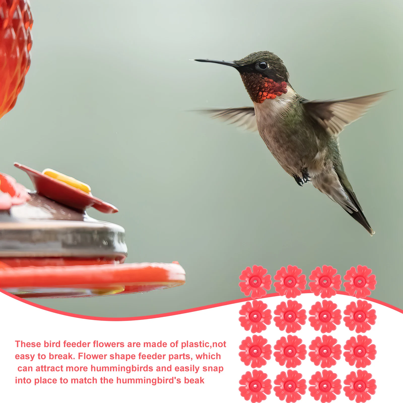 20pcs Bird Feeder Flowers Replacement Parts Hummingbird Feeders Durable Plastic Garden Decoration Easy Install Realistic Shape
20pcs Bird Feeder Flowers Replacement Parts Hummingbird Feeders Durable Plastic Garden Decoration Easy Install Realistic Shape