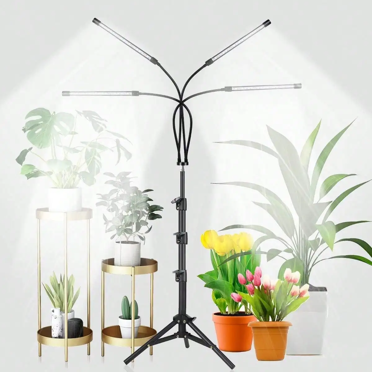 Grow Light With Stand, Full Spectrum Gooseneck Floor Plant Light For Indoor Plants Growing,10 Dimmable Levels & Auto On/Off Timer,Tripod Stand Plant Lamp Height Adjustable
Grow Light With Stand, Full Spectrum Gooseneck Floor Plant Light For Indoor Plants Growing,10 Dimmable Levels & Auto On/Off Timer,Tripod Stand Plant Lamp Height Adjustable