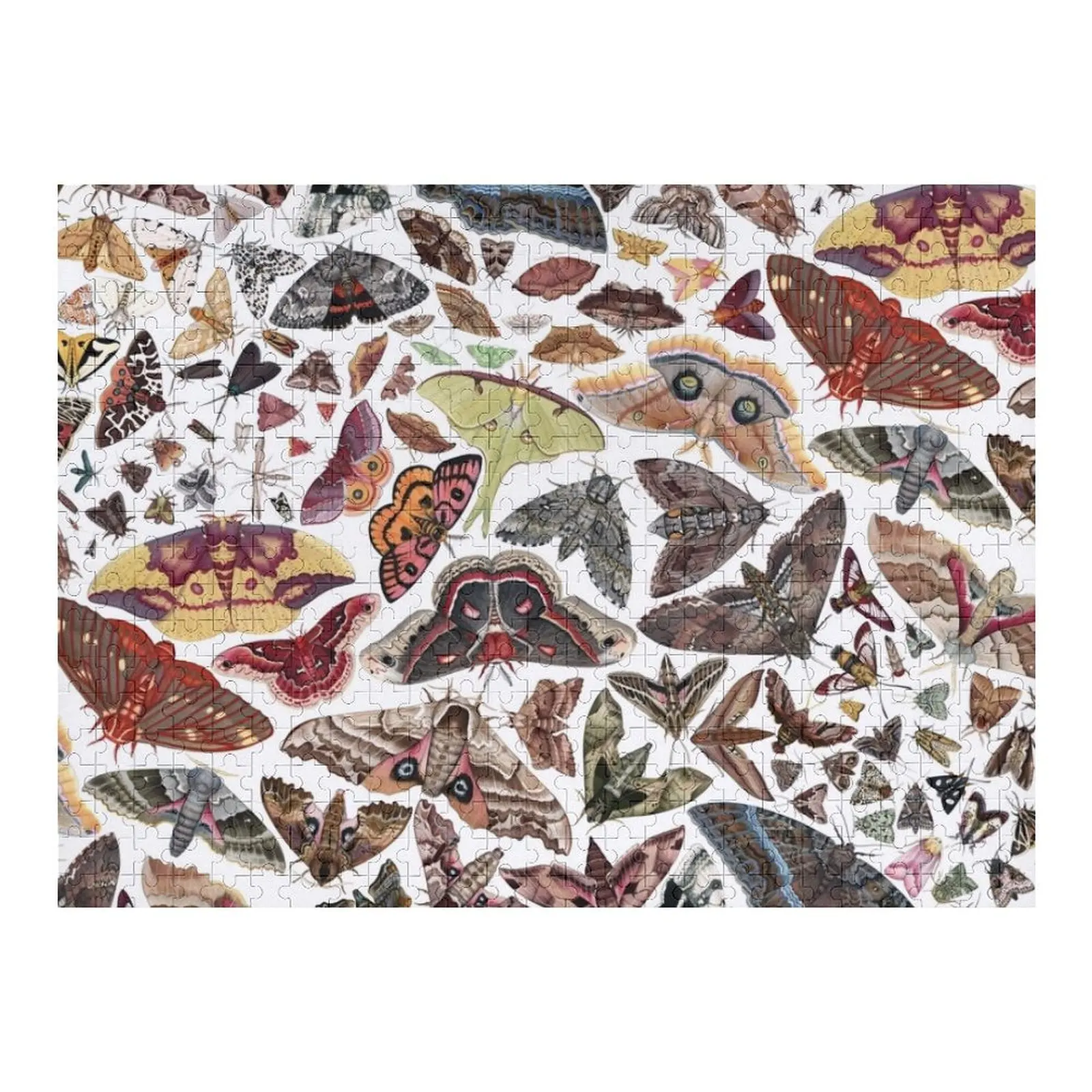 Moths of North America Pattern Jigsaw Puzzle Toddler Toys Customs With Photo Puzzle
Moths of North America Pattern Jigsaw Puzzle Toddler Toys Customs With Photo Puzzle