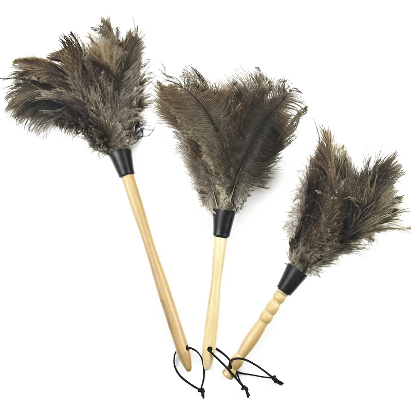 Ostrich Feathers Duster Brush Handle Anti-static Dust Removal Dusters Cleaning Gap Furniturer Cleaner Vase for Decoration
Ostrich Feathers Duster Brush Handle Anti-static Dust Removal Dusters Cleaning Gap Furniturer Cleaner Vase for Decoration