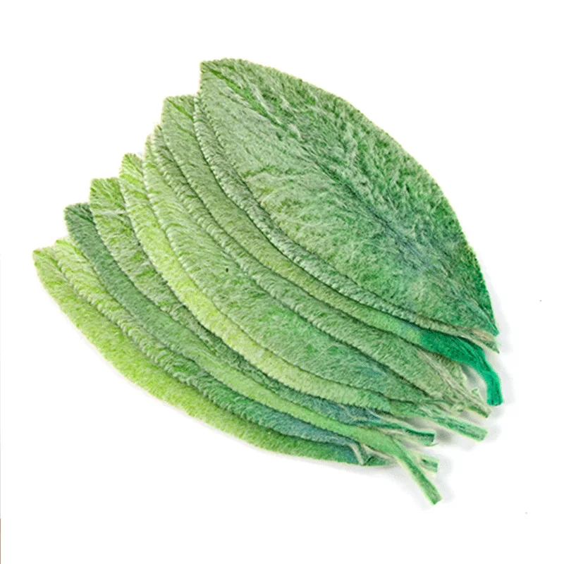 20pcs Pressed Dried Stachys lanata Leaf Flower For Epoxy Resin Pendant Jewelry Face Make Up Making Craft DIY Accessories
20pcs Pressed Dried Stachys lanata Leaf Flower For Epoxy Resin Pendant Jewelry Face Make Up Making Craft DIY Accessories