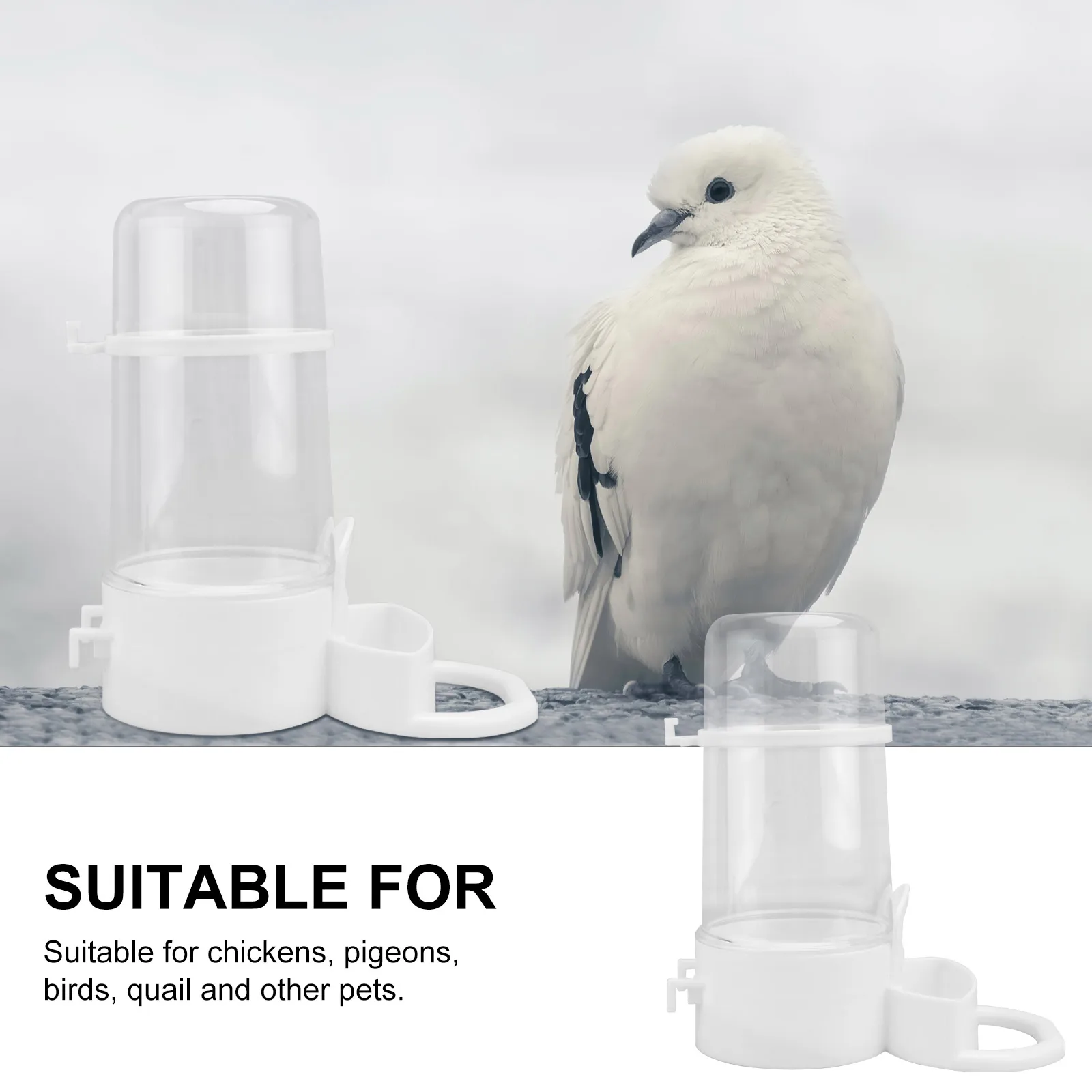 2Pcs Plastic Automatic Drinking Bowl For Poultry Chicken Birds Water Feeder Cups White
2Pcs Plastic Automatic Drinking Bowl For Poultry Chicken Birds Water Feeder Cups White