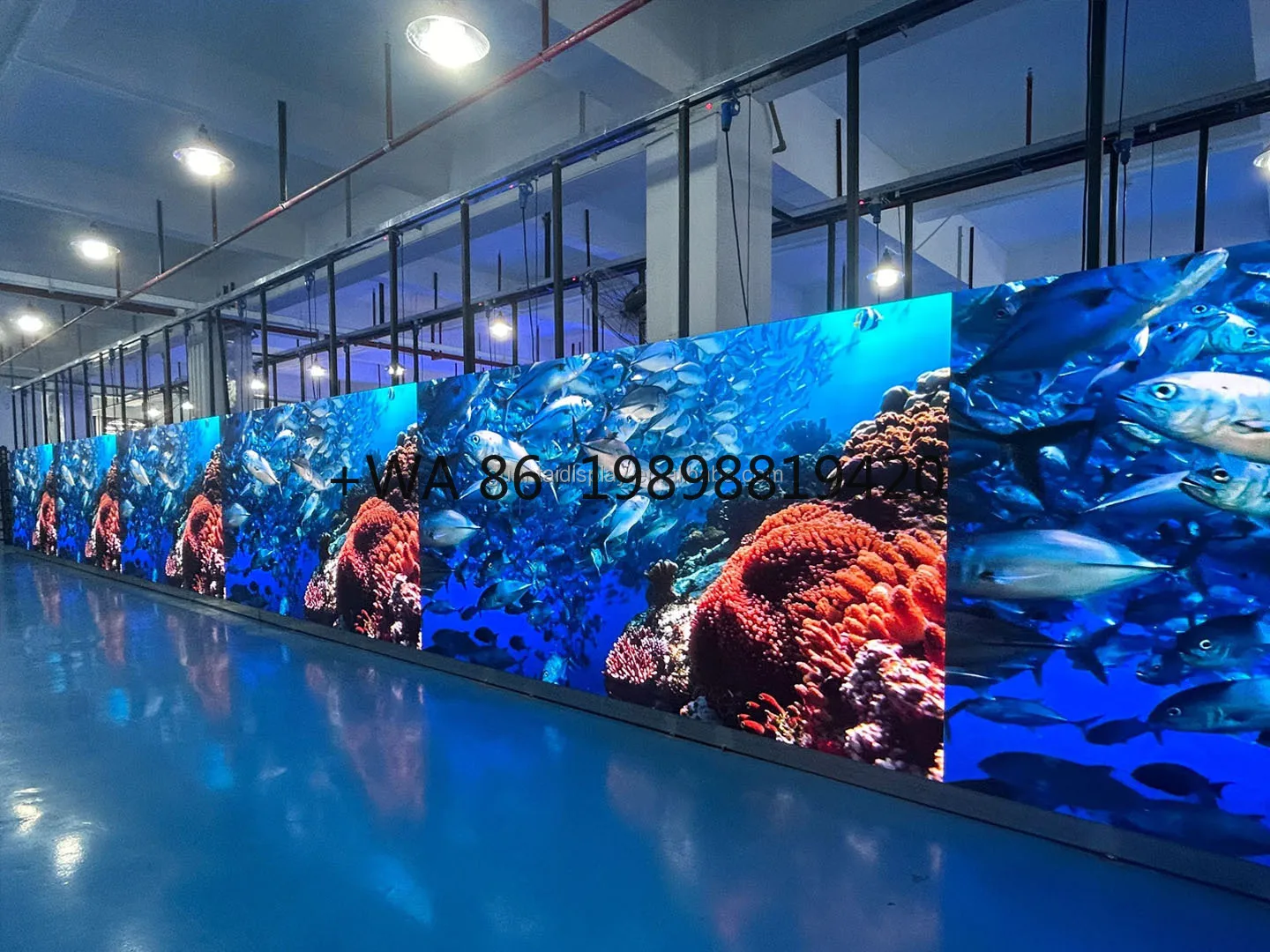 Complete P2.6 P2.9 P3.91 P4.81 LED Video Wall 500mmx1000mm Indoor Outdoor Rental IP65 SDK Function
Complete P2.6 P2.9 P3.91 P4.81 LED Video Wall 500mmx1000mm Indoor Outdoor Rental IP65 SDK Function