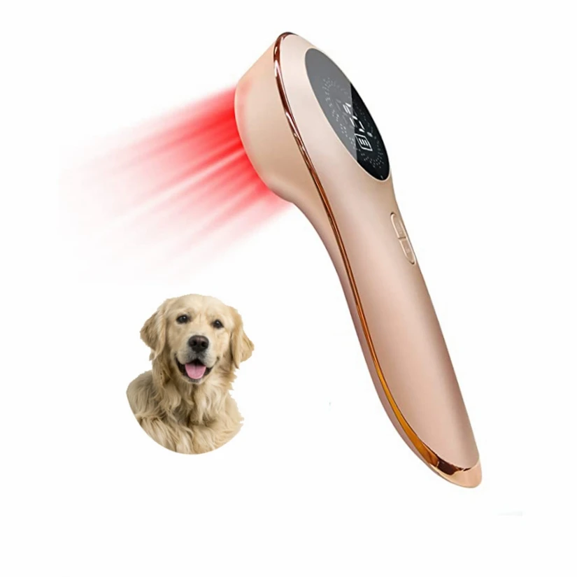 Veterinary Cold Laser Therapy Device Laser Therapy Device For Pain Relief Instrument Wound Healing Therapy For Animals
Veterinary Cold Laser Therapy Device Laser Therapy Device For Pain Relief Instrument Wound Healing Therapy For Animals