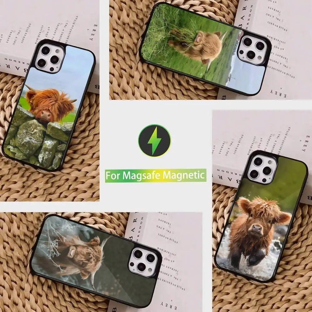 Highland Cow Cute Animal Phone Case For iPhone 16,15,14,17,13,12,11,Pro,Max,Plus,Mini, Magsafe,Magnetic Wireless Charging Case
Highland Cow Cute Animal Phone Case For iPhone 16,15,14,17,13,12,11,Pro,Max,Plus,Mini, Magsafe,Magnetic Wireless Charging Case