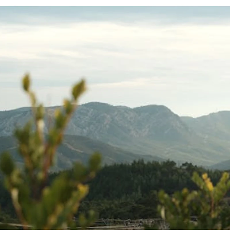 iFlight BLITZ SPLIT GPS Defender25 UBLOX M10 Onboard LNA For RC DIY FPV Racing Drone
iFlight BLITZ SPLIT GPS Defender25 UBLOX M10 Onboard LNA For RC DIY FPV Racing Drone