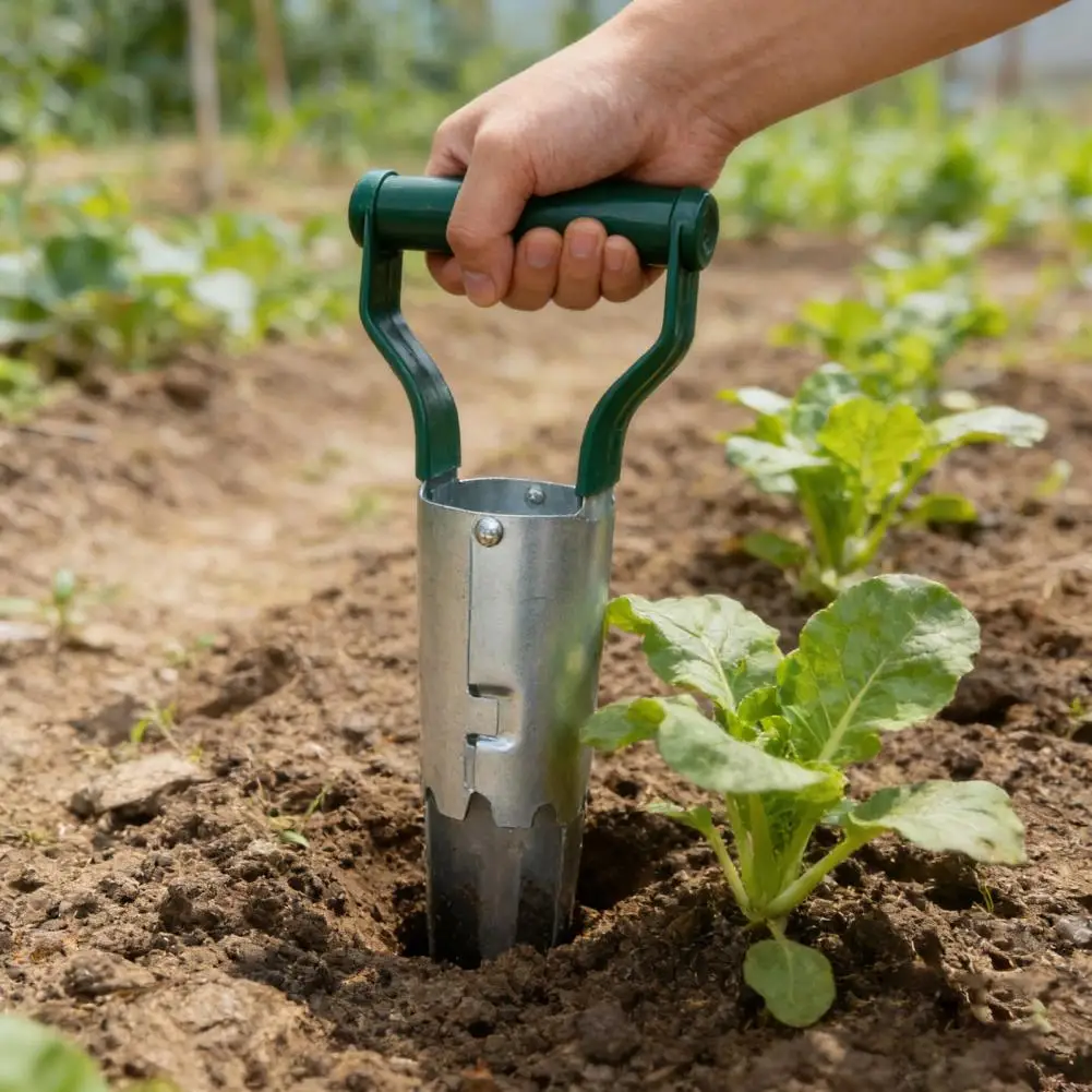 Plant Hole Digger for Planting Seeds Ergonomic Garden Tool with Wooden Handle Handheld Tool for Tulip Daffodil Vegetable Seeds
Plant Hole Digger for Planting Seeds Ergonomic Garden Tool with Wooden Handle Handheld Tool for Tulip Daffodil Vegetable Seeds