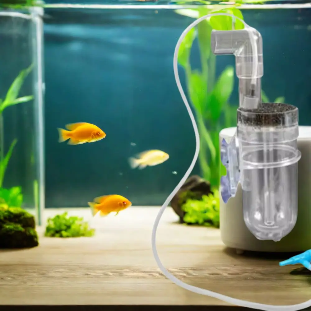 Plastic 60MM Fish Egg Incubator Prevent Fungus Simulate Natural Incubation Cichlid Hatchery Ornamental Fish Wall Mounted
Plastic 60MM Fish Egg Incubator Prevent Fungus Simulate Natural Incubation Cichlid Hatchery Ornamental Fish Wall Mounted