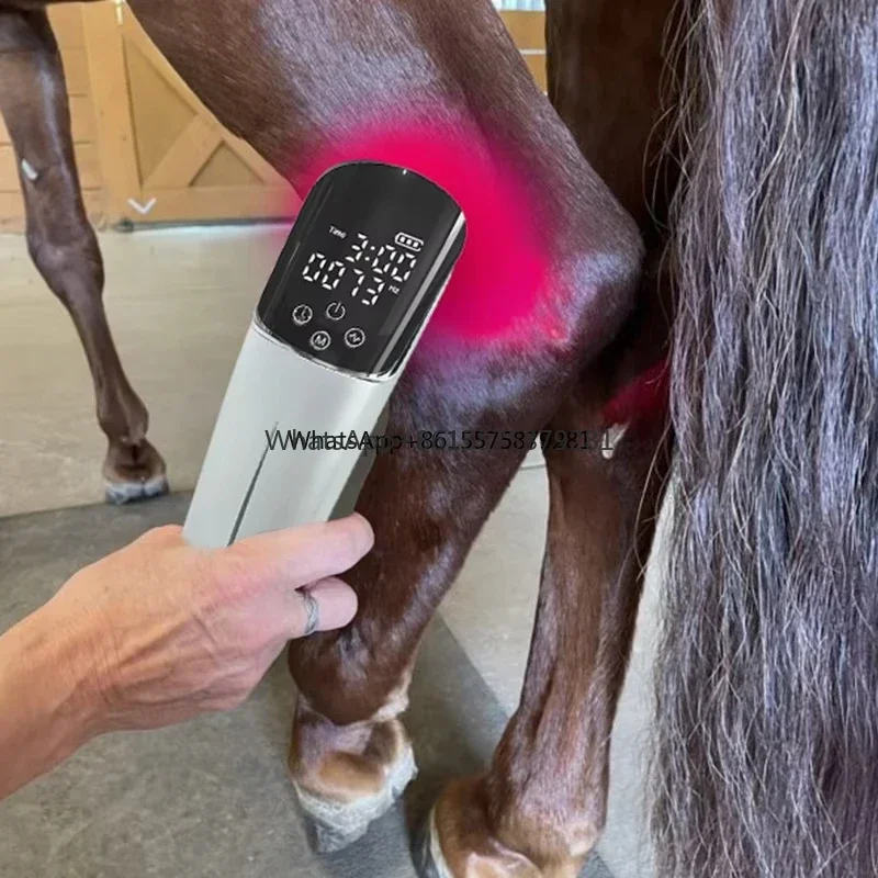 Horse Knee Joint Hook Arthritis Red Infrared Therapy Durable Handheld Light Therapy Rechargeable
Horse Knee Joint Hook Arthritis Red Infrared Therapy Durable Handheld Light Therapy Rechargeable