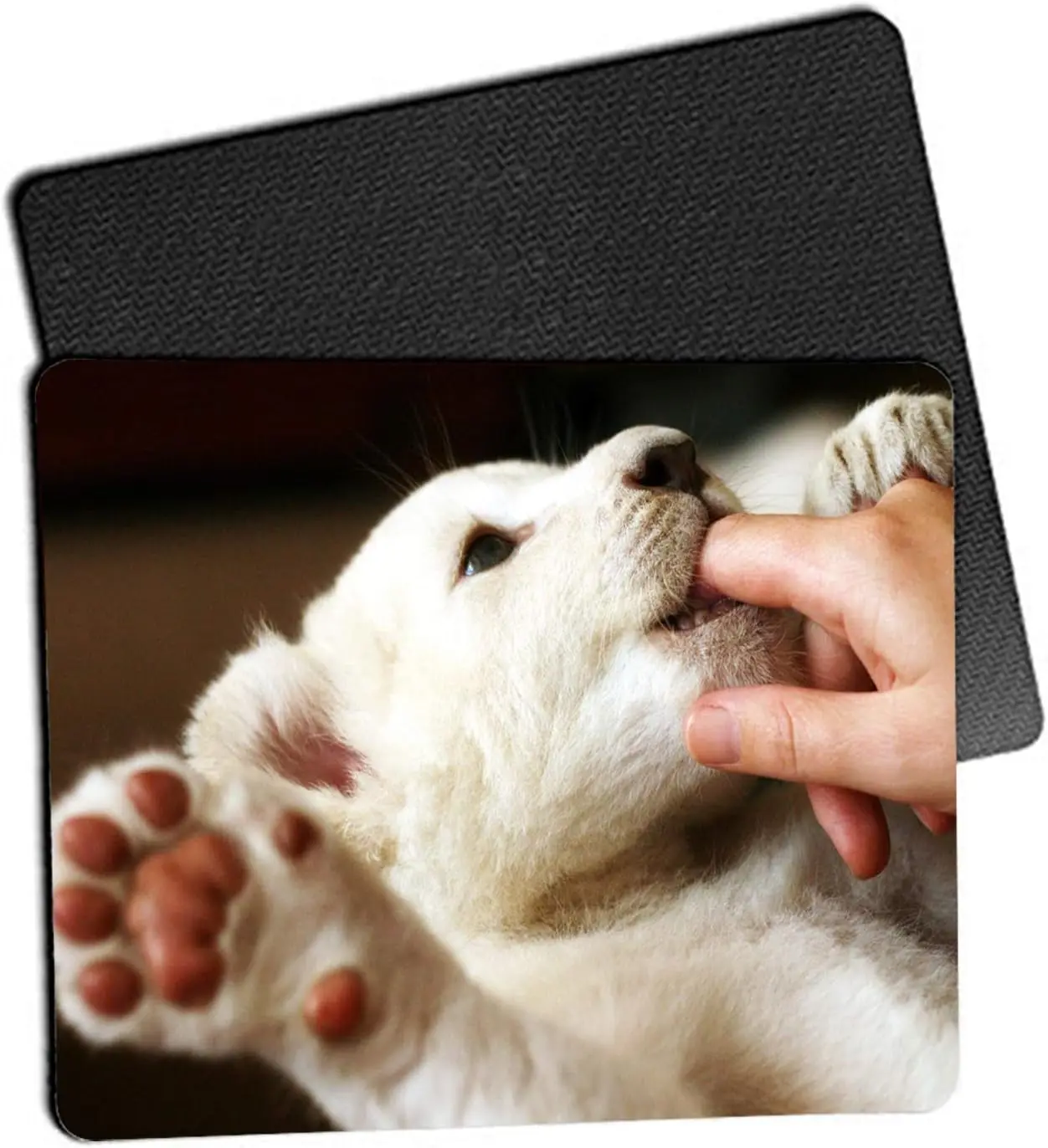 10-Pack Sublimation Mouse Pad Blanks for Heat Press Printing, Non-Slip Base, 24x20x0.3cm
10-Pack Sublimation Mouse Pad Blanks for Heat Press Printing, Non-Slip Base, 24x20x0.3cm