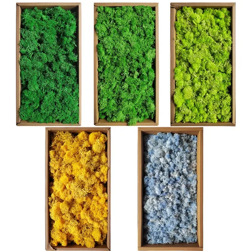 200/500g Artificial Plants Eternal Life Moss /Garden Home Decor Wall DIY Flower Material Mini Micro Landscape Fake Moss Gift
200/500g Artificial Plants Eternal Life Moss /Garden Home Decor Wall DIY Flower Material Mini Micro Landscape Fake Moss Gift
