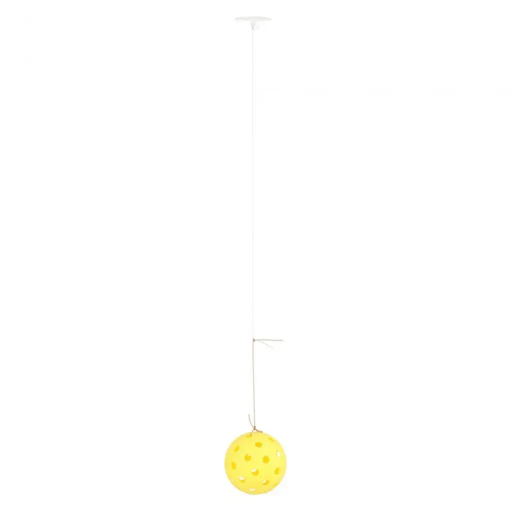 Solo Pickleball Training Pickleball with 40 Holes Pickleball Ball Rope Beginner Kids Self Study Self Practice
Solo Pickleball Training Pickleball with 40 Holes Pickleball Ball Rope Beginner Kids Self Study Self Practice