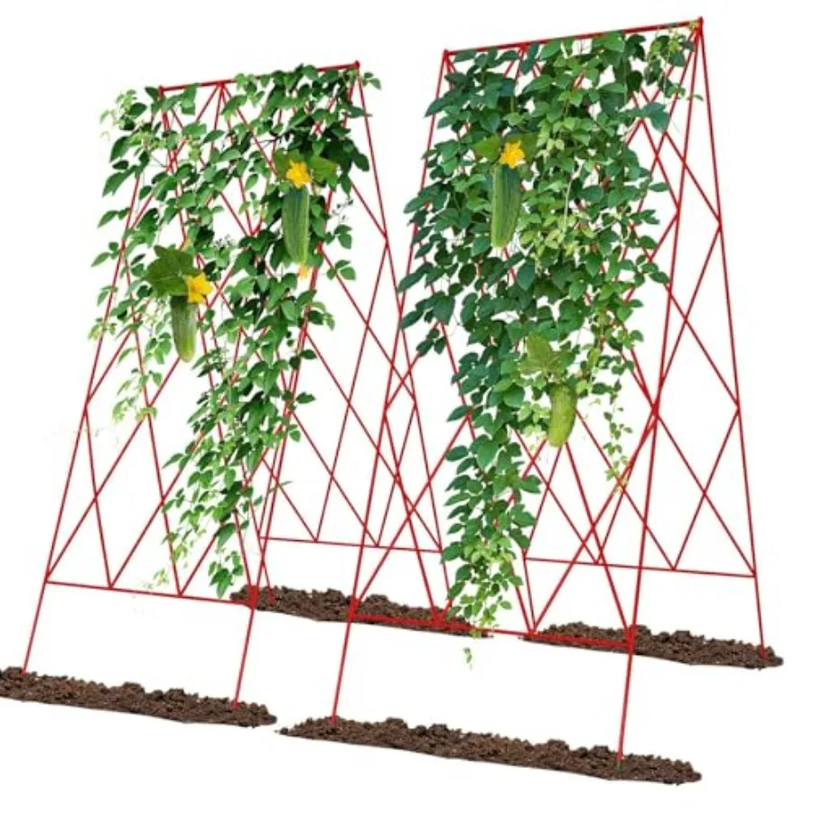 Cucumber Trellis 2 Pack, Foldable A-Frame Garden Trellis for Raised Bed Garden Grow Support with Plant Support Clips, Twist Tie
Cucumber Trellis 2 Pack, Foldable A-Frame Garden Trellis for Raised Bed Garden Grow Support with Plant Support Clips, Twist Tie