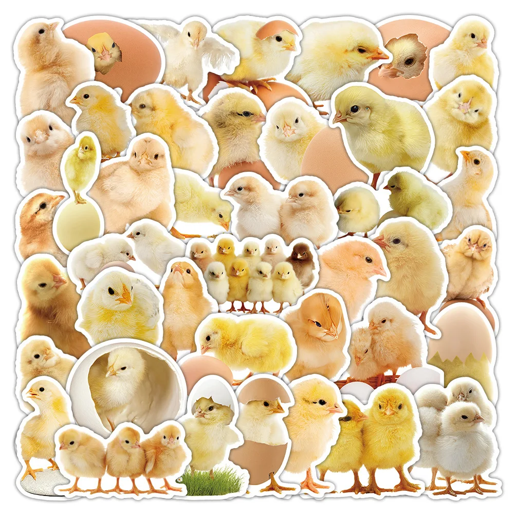 50pcs Cute Little Chick Phone Stickers Furry Kawai DIY Creative Handbook Guitar Stickers Phone Cases Waterproof Stickers
50pcs Cute Little Chick Phone Stickers Furry Kawai DIY Creative Handbook Guitar Stickers Phone Cases Waterproof Stickers