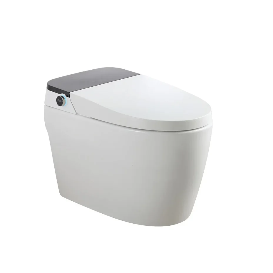 A Hot saleMedyag AD-691Modern Design Smart Toilet Zero Water Pressure Flushing Automatic Cover Intelligent Toilet
A Hot saleMedyag AD-691Modern Design Smart Toilet Zero Water Pressure Flushing Automatic Cover Intelligent Toilet