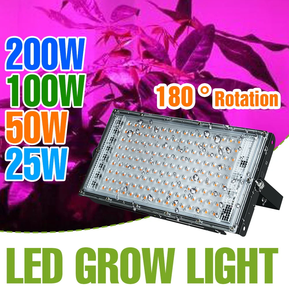 200 Вт светодиодный светильник полного спектра для выращивания растений 220 В в помещении, лампы для выращивания рассады суккулентов, тепличная палатка, свечи, заполняющее освещение для фруктов
200 Вт светодиодный светильник полного спектра для выращивания растений 220 В в помещении, лампы для выращивания рассады суккулентов, тепличная палатка, свечи, заполняющее освещение для фруктов
